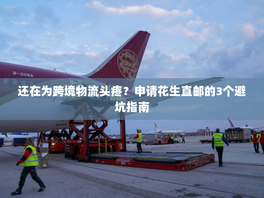 还在为跨境物流头疼？申请花生直邮的3个避坑指南