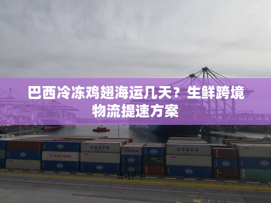 巴西冷冻鸡翅海运几天？生鲜跨境物流提速方案