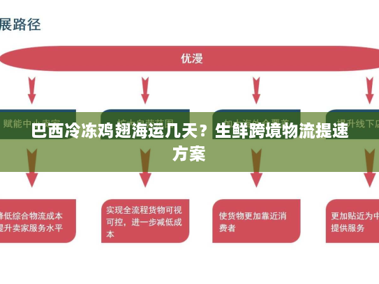 巴西冷冻鸡翅海运几天？生鲜跨境物流提速方案