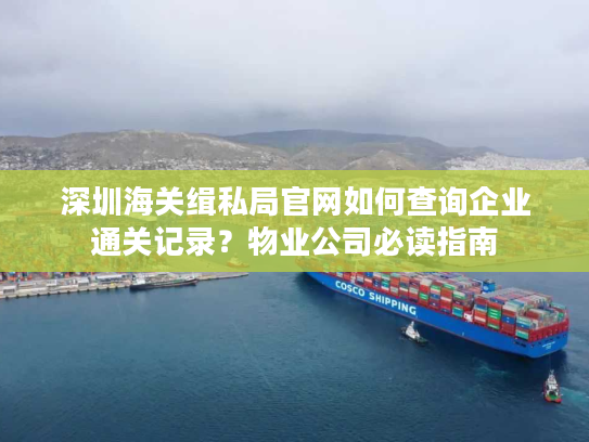 深圳海关缉私局官网如何查询企业通关记录？物业公司必读指南