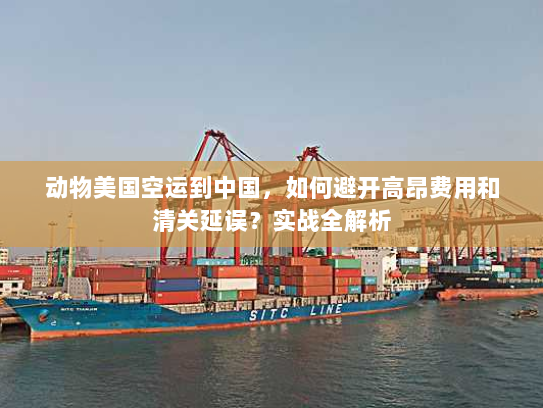 动物美国空运到中国，如何避开高昂费用和清关延误？实战全解析