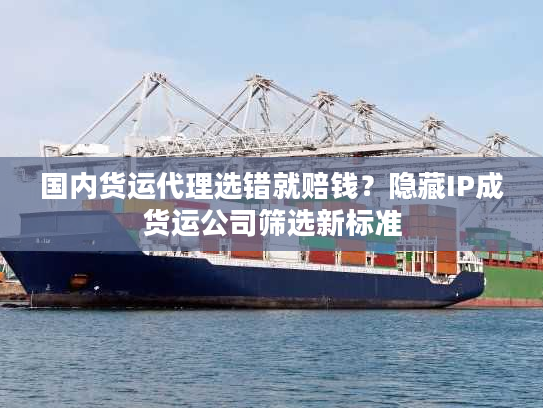 国内货运代理选错就赔钱？隐藏IP成货运公司筛选新标准