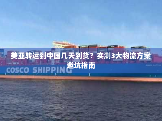 美亚转运到中国几天到货？实测3大物流方案避坑指南