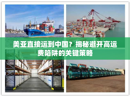 美亚直接运到中国？揭秘避开高运费陷阱的关键策略