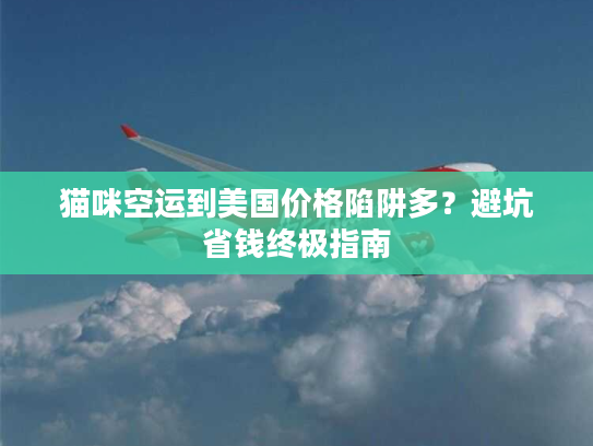 猫咪空运到美国价格陷阱多？避坑省钱终极指南