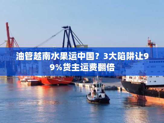 油管越南水果运中国？3大陷阱让99%货主运费翻倍