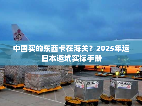中国买的东西卡在海关？2025年运日本避坑实操手册