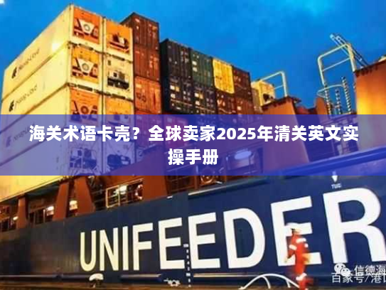 海关术语卡壳?全球卖家2025年清关英文实操手册 海关术语卡壳?全球卖家2025年清关英文实操手册
