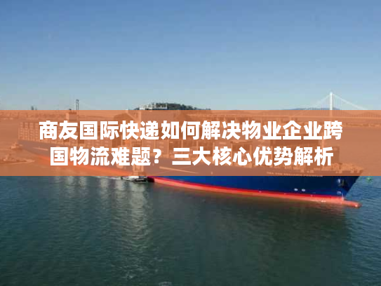 商友国际快递如何解决物业企业跨国物流难题？三大核心优势解析