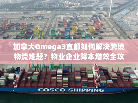 加拿大Omega3直邮如何解决跨境物流难题?物业企业降本增效全攻略 加拿大Omega3直邮如何解决跨境物流难题?物业企业降本增效全攻略
