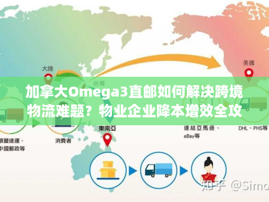 加拿大Omega3直邮如何解决跨境物流难题?物业企业降本增效全攻略 加拿大Omega3直邮如何解决跨境物流难题?物业企业降本增效全攻略