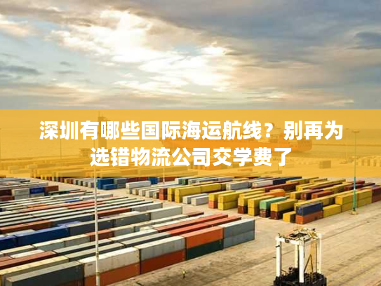 深圳有哪些国际海运航线？别再为选错物流公司交学费了