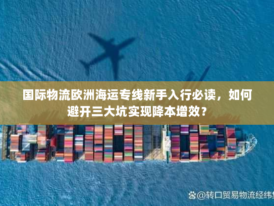 国际物流欧洲海运专线新手入行必读,如何避开三大坑实现降本增效? 国际物流欧洲海运专线新手入行必读,如何避开三大坑实现降本增效?