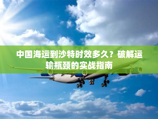 中国海运到沙特时效多久？破解运输瓶颈的实战指南