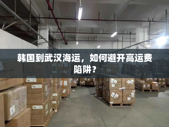韩国到武汉海运，如何避开高运费陷阱？