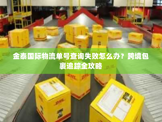 金泰国际物流单号查询失败怎么办？跨境包裹追踪全攻略