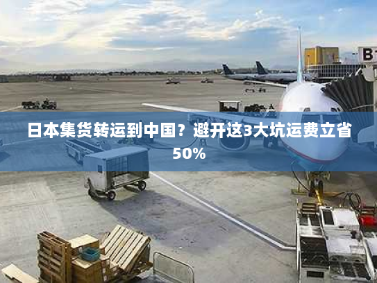 日本集货转运到中国？避开这3大坑运费立省50%
