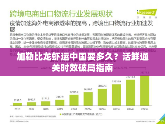 加勒比龙虾运中国要多久？活鲜通关时效破局指南