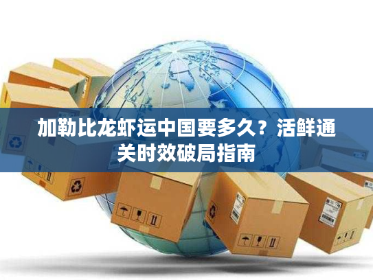 加勒比龙虾运中国要多久？活鲜通关时效破局指南