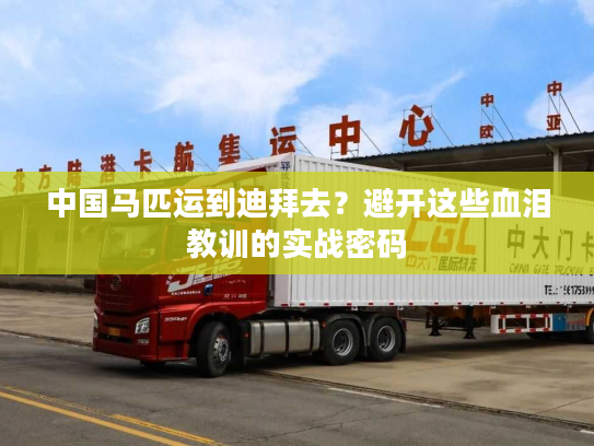 中国马匹运到迪拜去？避开这些血泪教训的实战密码
