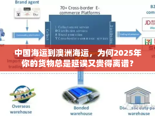 中国海运到澳洲海运，为何2025年你的货物总是延误又贵得离谱？
