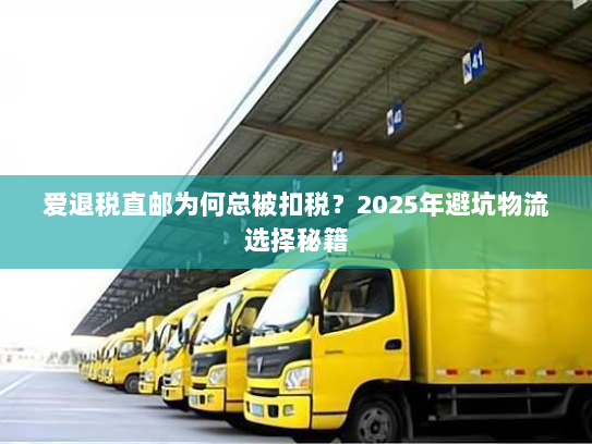 爱退税直邮为何总被扣税?2025年避坑物流选择秘籍 爱退税直邮为何总被扣税?2025年避坑物流选择秘籍
