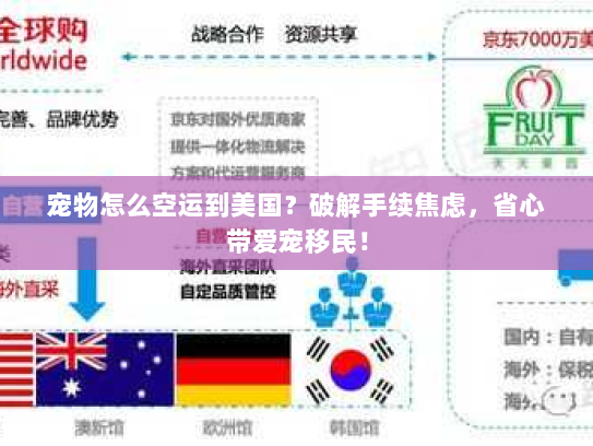 宠物怎么空运到美国？破解手续焦虑，省心带爱宠移民！