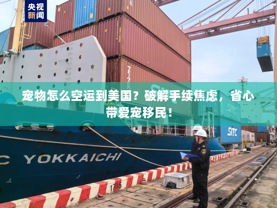 宠物怎么空运到美国？破解手续焦虑，省心带爱宠移民！