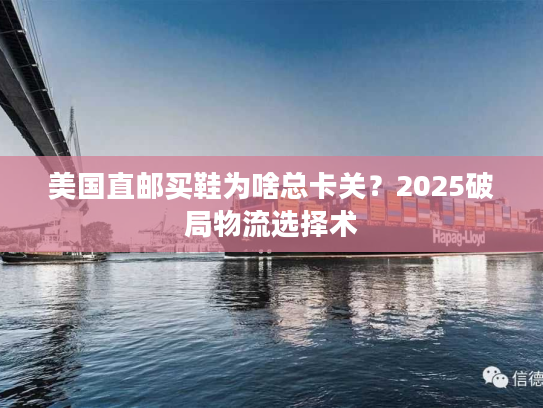 美国直邮买鞋为啥总卡关？2025破局物流选择术