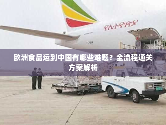 欧洲食品运到中国有哪些难题？全流程通关方案解析