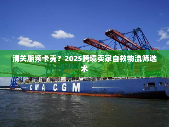 清关腑频卡壳?2025跨境卖家自救物流筛选术 清关腑频卡壳?2025跨境卖家自救物流筛选术