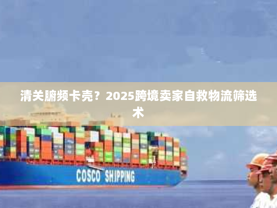 清关腑频卡壳?2025跨境卖家自救物流筛选术 清关腑频卡壳?2025跨境卖家自救物流筛选术