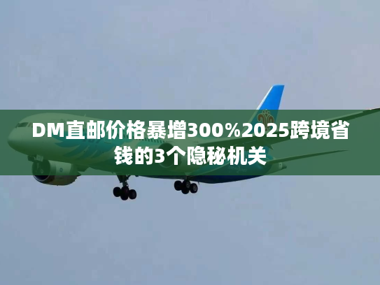 DM直邮价格暴增300%2025跨境省钱的3个隐秘机关