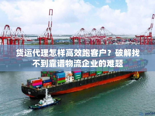 货运代理怎样高效跑客户？破解找不到靠谱物流企业的难题