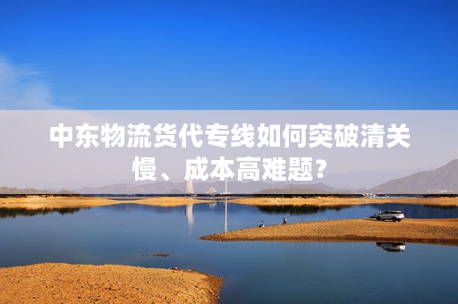 中东物流货代专线如何突破清关慢、成本高难题？