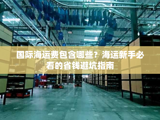 国际海运费包含哪些?海运新手必看的省钱避坑指南 国际海运费包含哪些?海运新手必看的省钱避坑指南