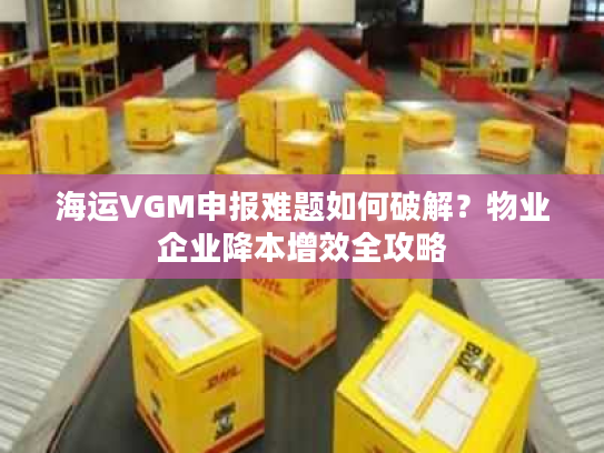 海运VGM申报难题如何破解?物业企业降本增效全攻略 海运VGM申报难题如何破解?物业企业降本增效全攻略