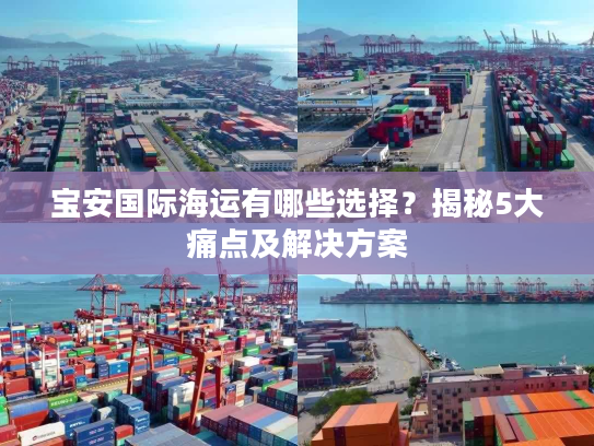 宝安国际海运有哪些选择?揭秘5大痛点及解决方案 宝安国际海运有哪些选择?揭秘5大痛点及解决方案