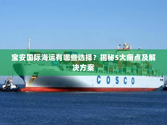 宝安国际海运有哪些选择？揭秘5大痛点及解决方案