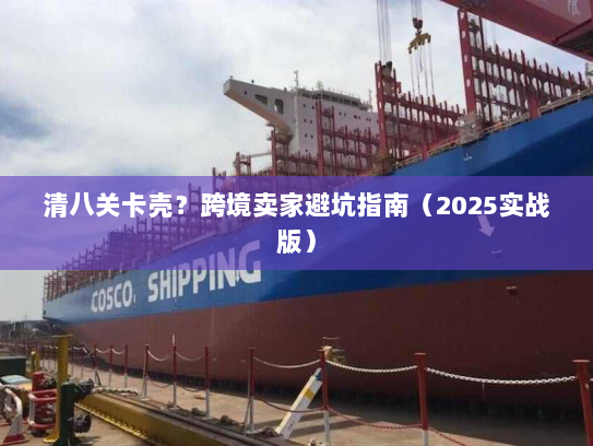 清八关卡壳?跨境卖家避坑指南(2025实战版) 清八关卡壳?跨境卖家避坑指南(2025实战版)