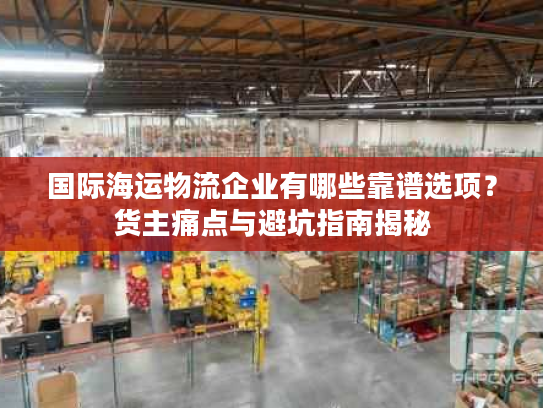 国际海运物流企业有哪些靠谱选项？货主痛点与避坑指南揭秘