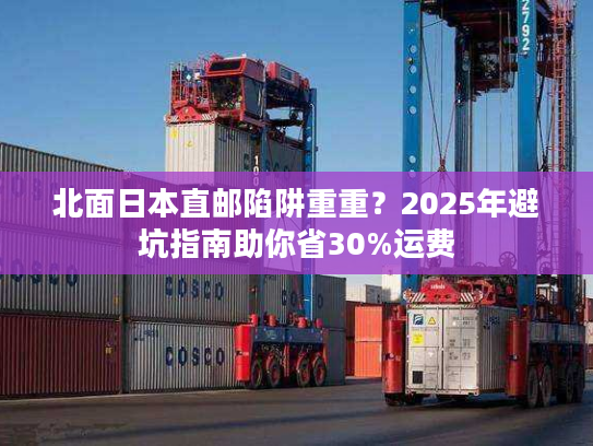 北面日本直邮陷阱重重？2025年避坑指南助你省30%运费