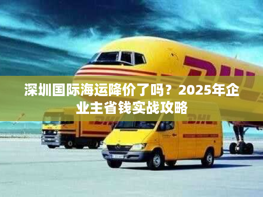 深圳国际海运降价了吗?2025年企业主省钱实战攻略 深圳国际海运降价了吗?2025年企业主省钱实战攻略