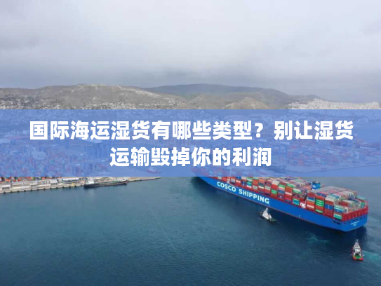 国际海运湿货有哪些类型?别让湿货运输毁掉你的利润 国际海运湿货有哪些类型?别让湿货运输毁掉你的利润