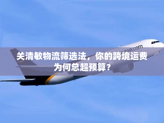 关清敏物流筛选法,你的跨境运费为何总超预算? 关清敏物流筛选法,你的跨境运费为何总超预算?