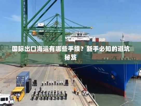 国际出口海运有哪些手续？新手必知的避坑秘笈