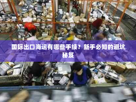 国际出口海运有哪些手续？新手必知的避坑秘笈
