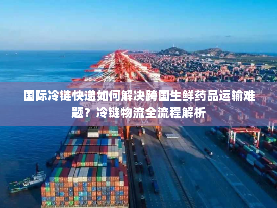 国际冷链快递如何解决跨国生鲜药品运输难题?冷链物流全流程解析 国际冷链快递如何解决跨国生鲜药品运输难题?冷链物流全流程解析