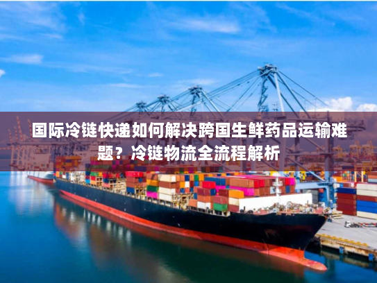 国际冷链快递如何解决跨国生鲜药品运输难题?冷链物流全流程解析 国际冷链快递如何解决跨国生鲜药品运输难题?冷链物流全流程解析