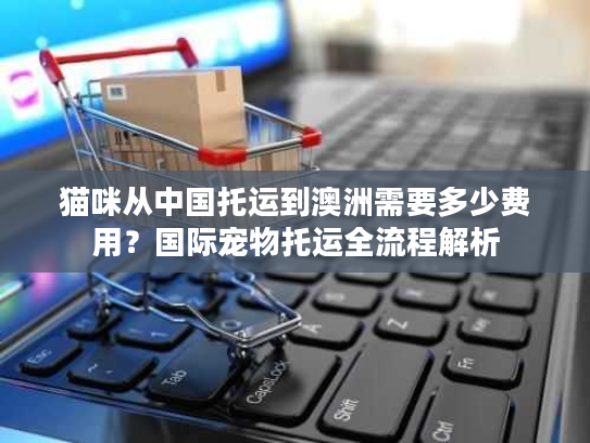 猫咪从中国托运到澳洲需要多少费用？国际宠物托运全流程解析